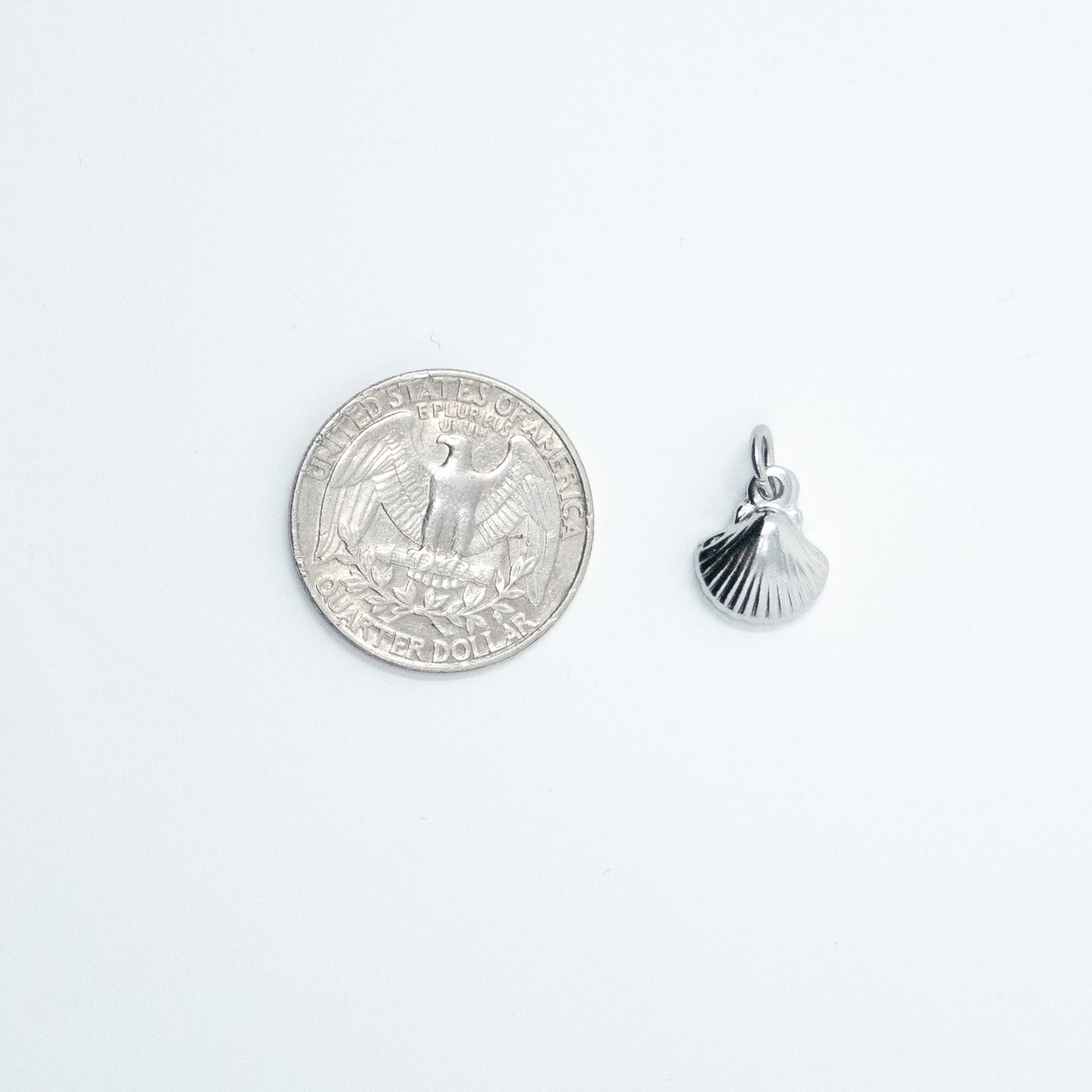Shell Charm