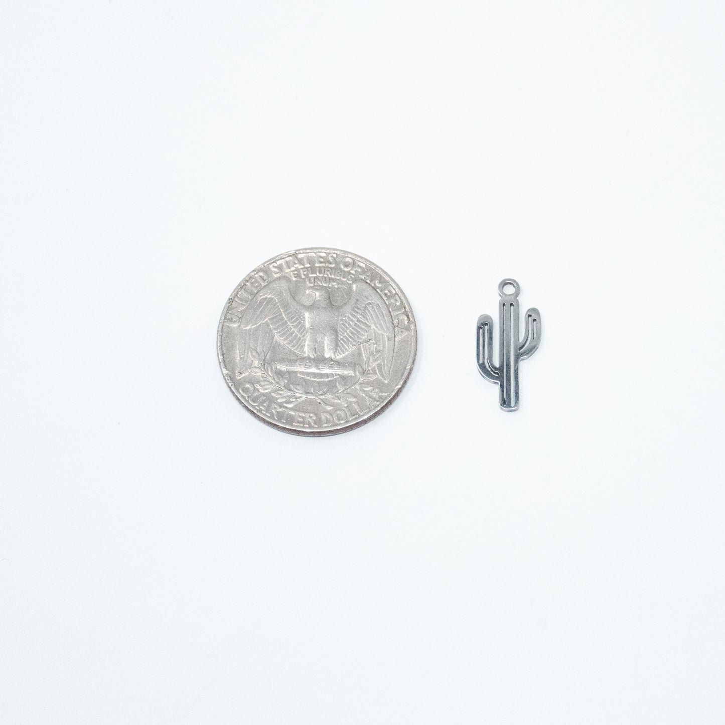 Small Cacti Charm